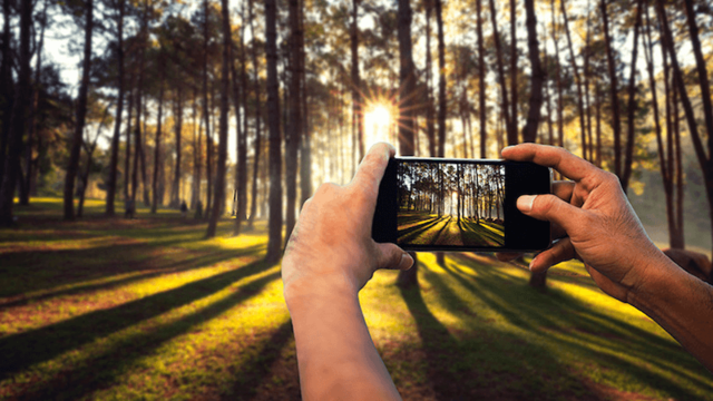 Эти трюки помогут улучшить качество снимков, сделанных на камеру вашего смартфона